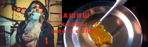 индика Абаза