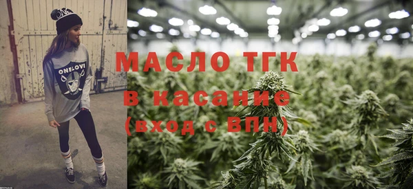 индика Абаза