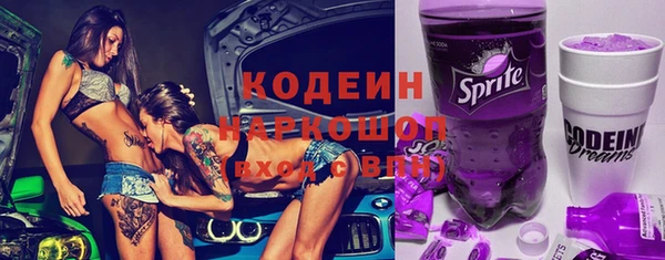 индика Абаза