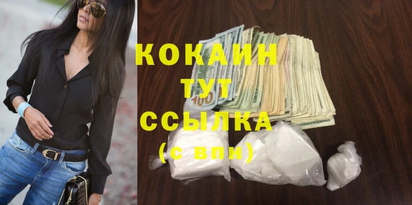 индика Абаза