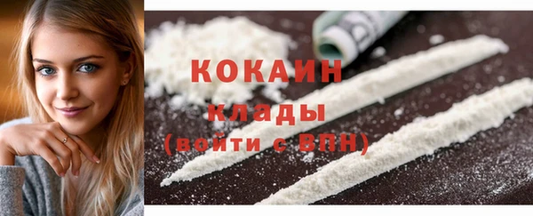индика Абаза