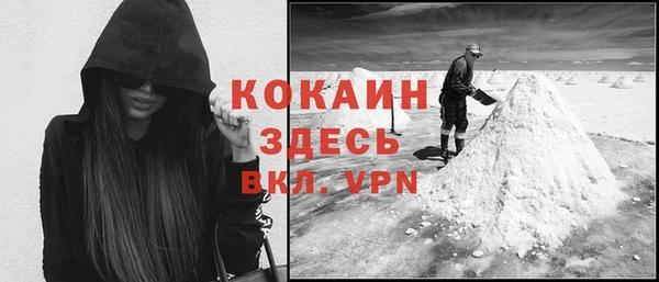 индика Абаза