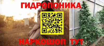 ешки Абинск