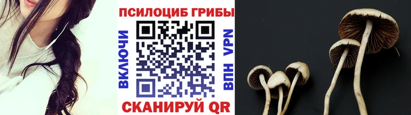 Галлюциногенные грибы прущие грибы  kraken ТОР  Алексин 