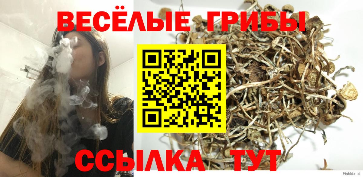 Алексин  Псилоцибиновые грибы мицелий  Галлюциногенные грибы GOLDEN TEACHER  Вход с VPN 